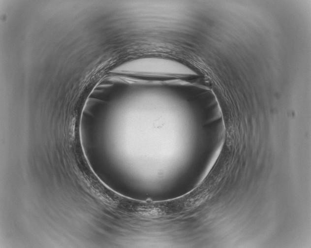 X0000087030454200704301343