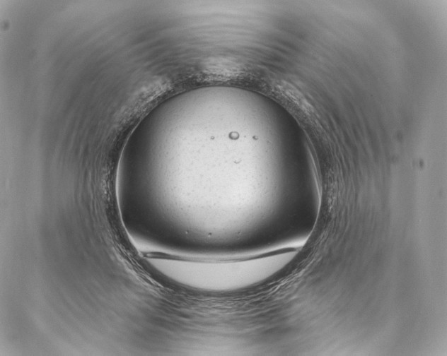 X0000087030455200704301343