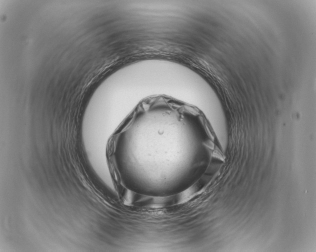 X0000087030456200704301343