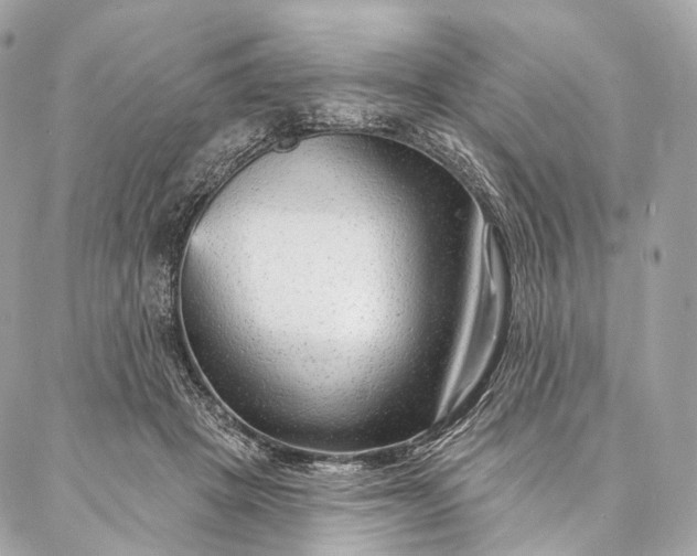 X0000087030457200704301343