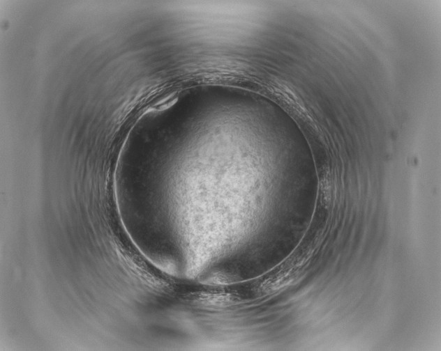 X0000087030458200704301343