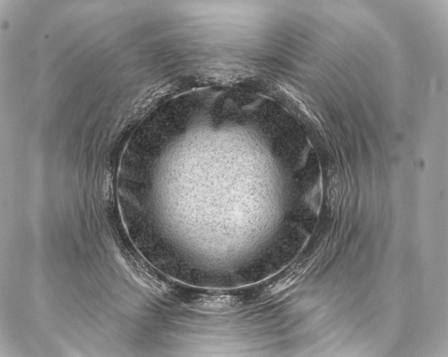 X0000087030459200704301343