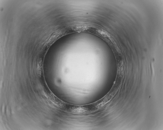 X0000087030460200704301343