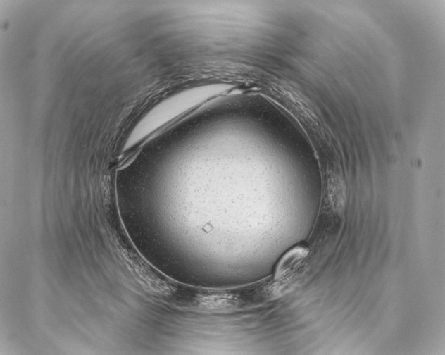 X0000087030461200704301343