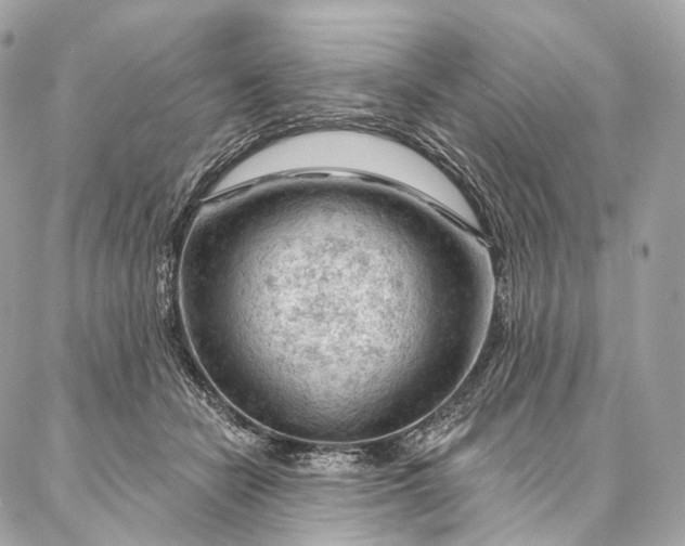 X0000087030462200704301343