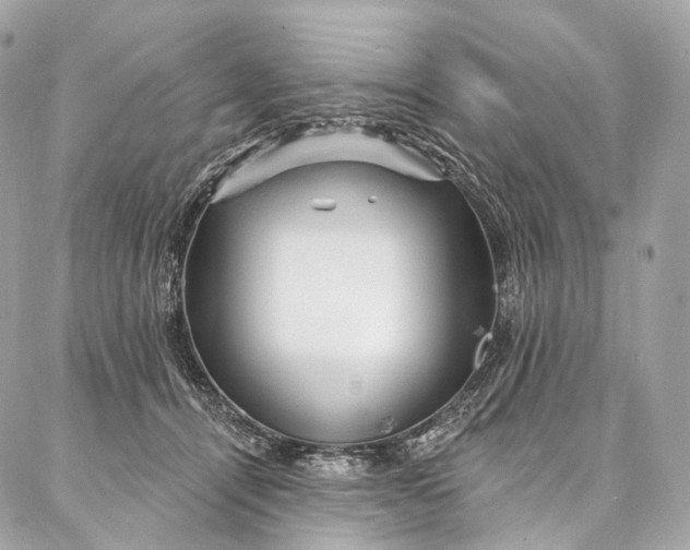 X0000087030464200704301344