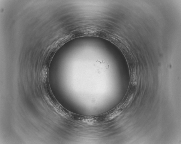 X0000087030468200704301344