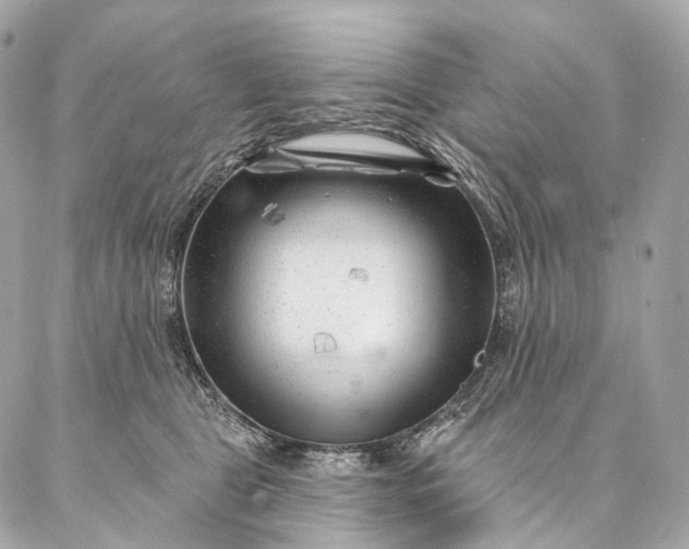 X0000087030469200704301344