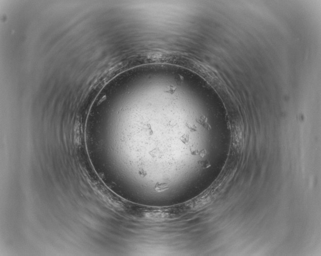 X0000087030470200704301344