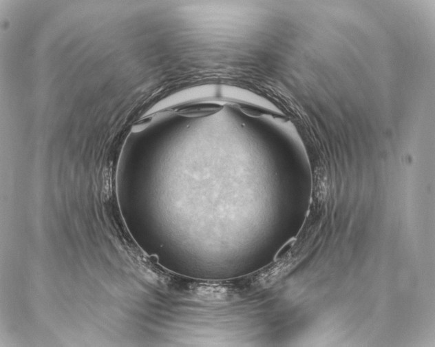 X0000087030471200704301344