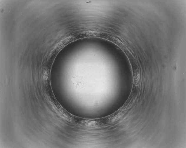 X0000087030472200704301344