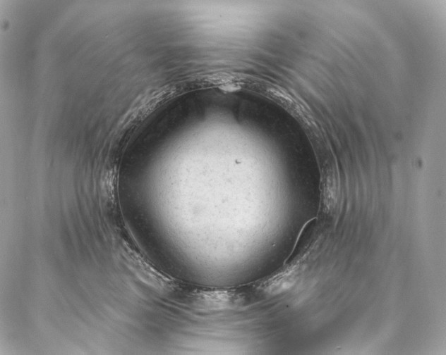 X0000087030473200704301344