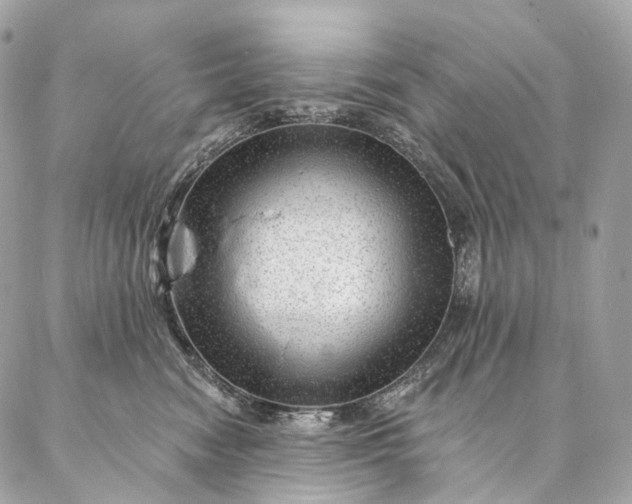 X0000087030474200704301344