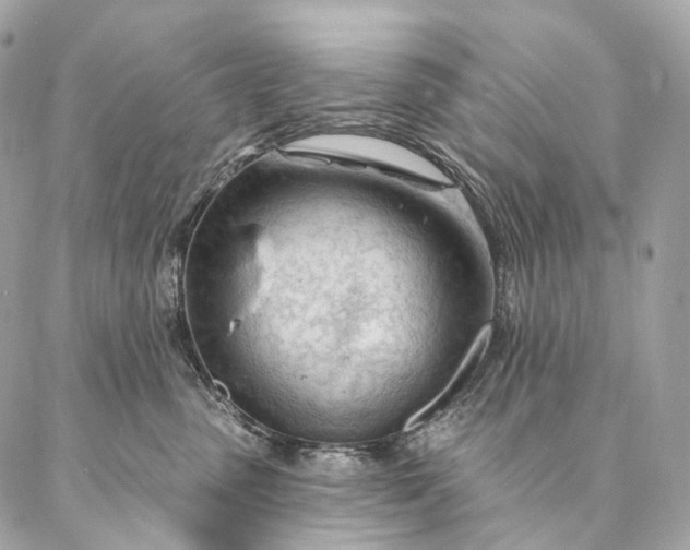 X0000087030475200704301344