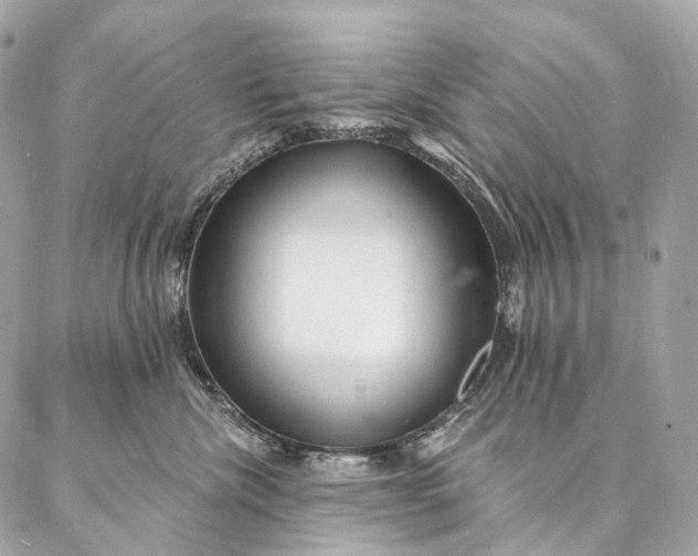 X0000087030476200704301344