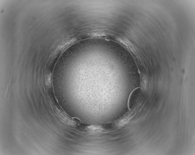 X0000087030477200704301344