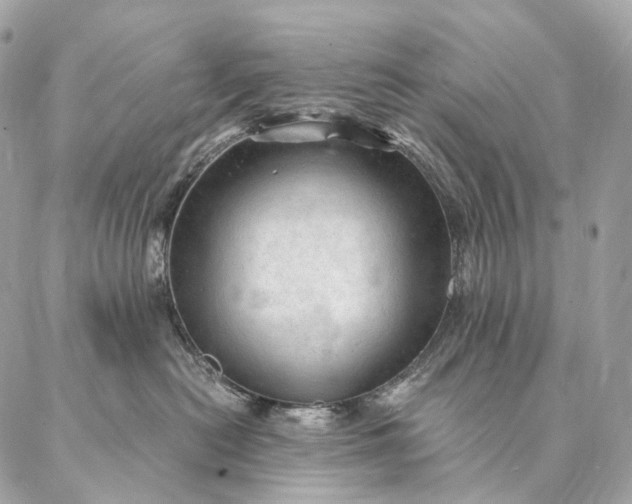 X0000087030478200704301344