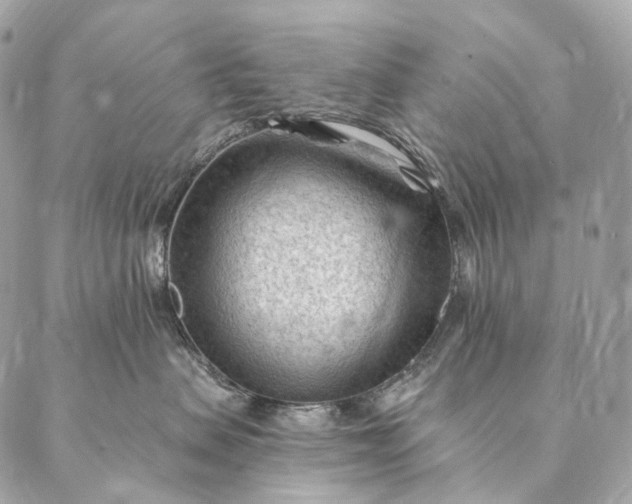 X0000087030479200704301344