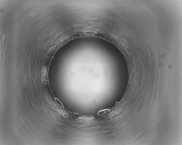 X0000087030480200704301344