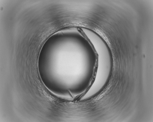 X0000087030481200704301343