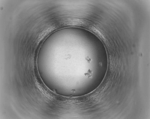 X0000087030482200704301343