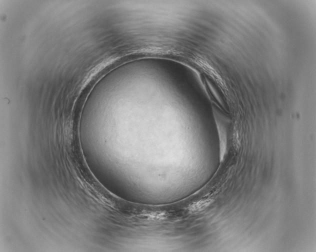 X0000087030484200704301343