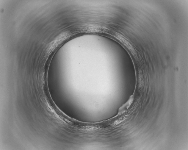 X0000087030485200704301343