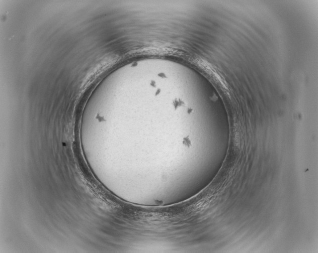 X0000087030486200704301343