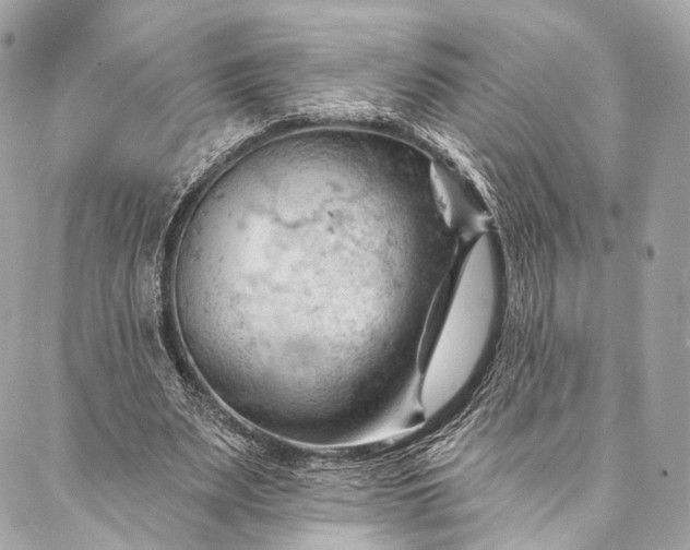 X0000087030487200704301343