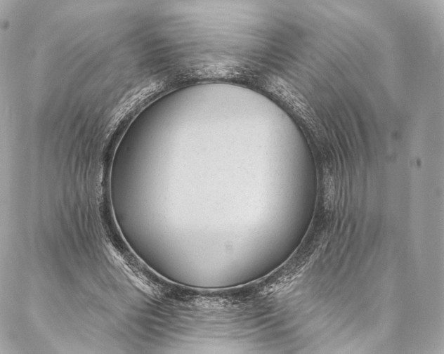 X0000087030490200704301343