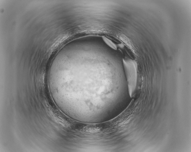 X0000087030491200704301343