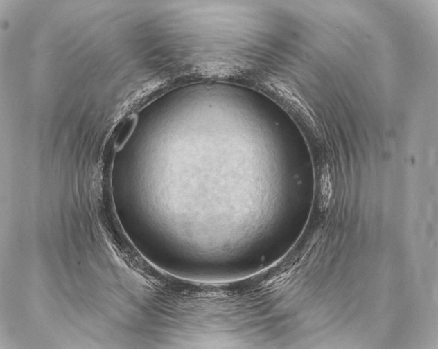 X0000087030492200704301343