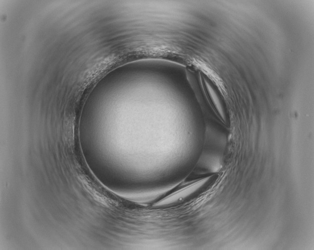 X0000087030493200704301343