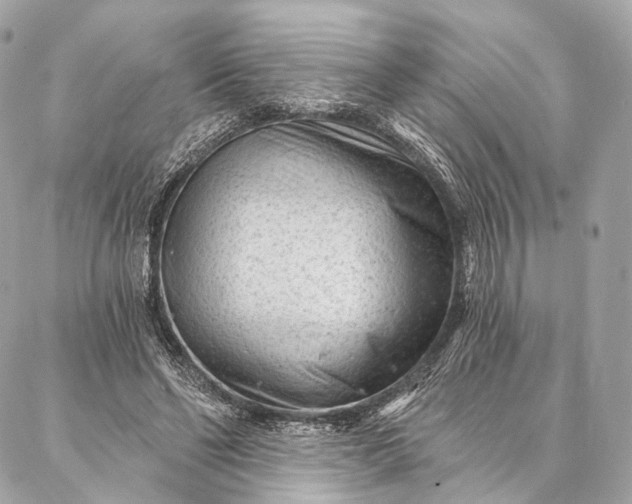 X0000087030494200704301343