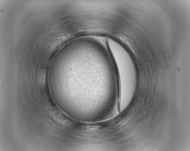 X0000087030495200704301343