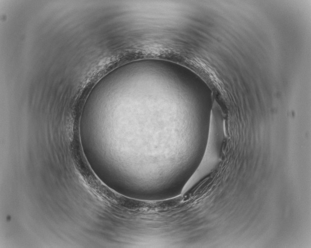 X0000087030496200704301343