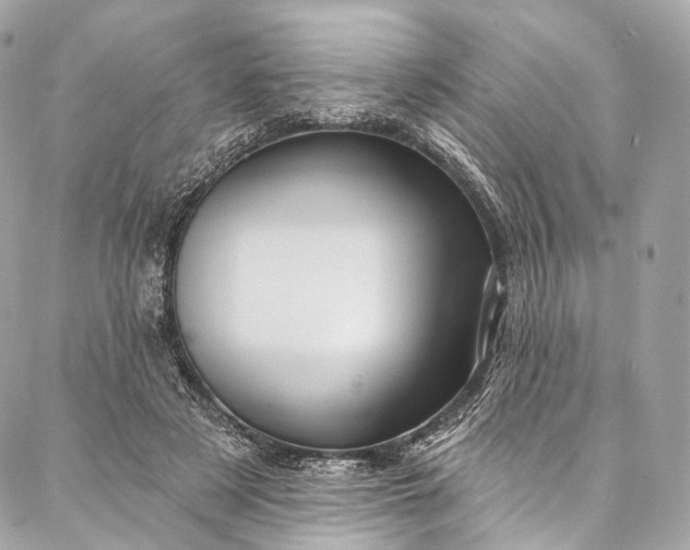 X0000087030497200704301343