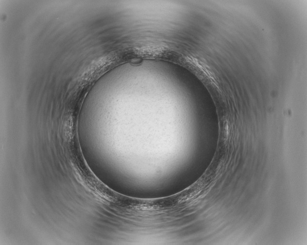 X0000087030498200704301343