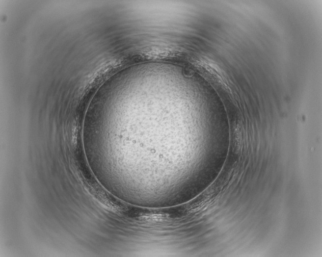 X0000087030499200704301343