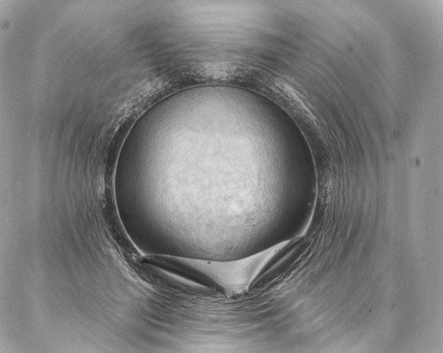 X0000087030500200704301343