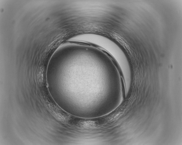 X0000087030501200704301343