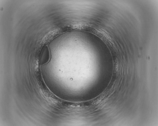 X0000087030502200704301343