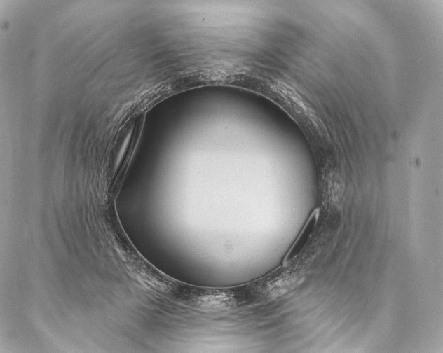 X0000087030505200704301343