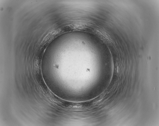 X0000087030506200704301343