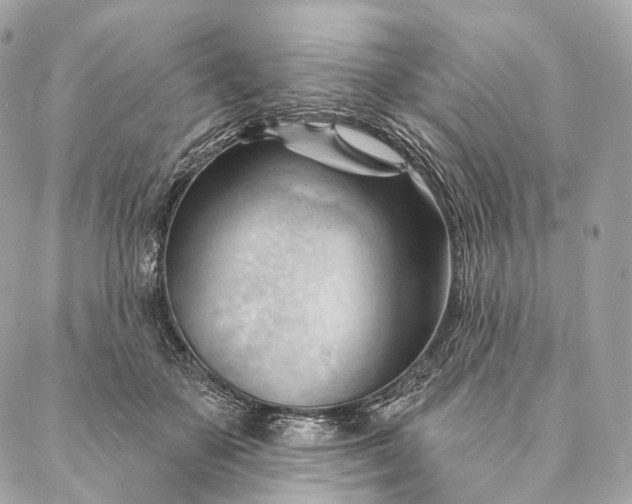 X0000087030507200704301343