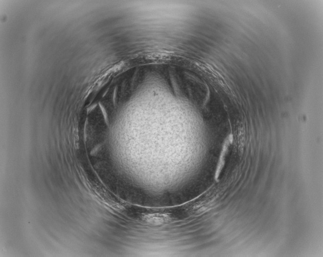 X0000087030508200704301343