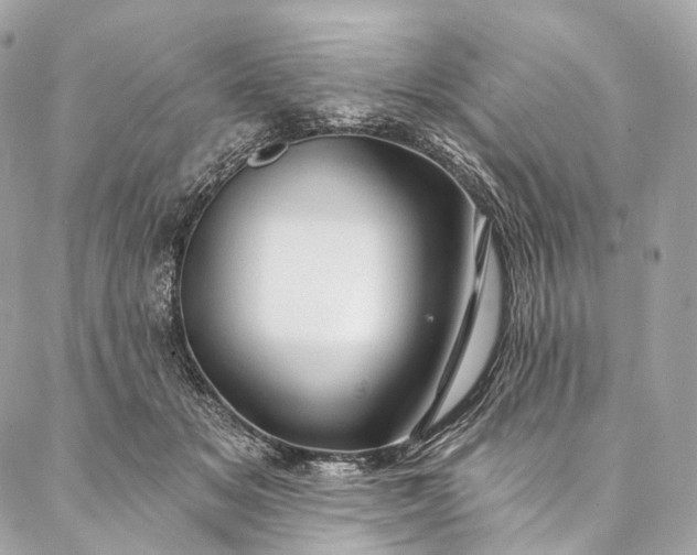 X0000087030509200704301343