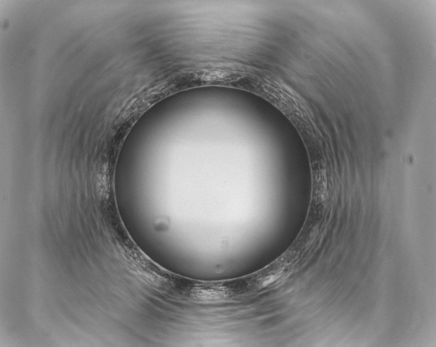 X0000087030510200704301343