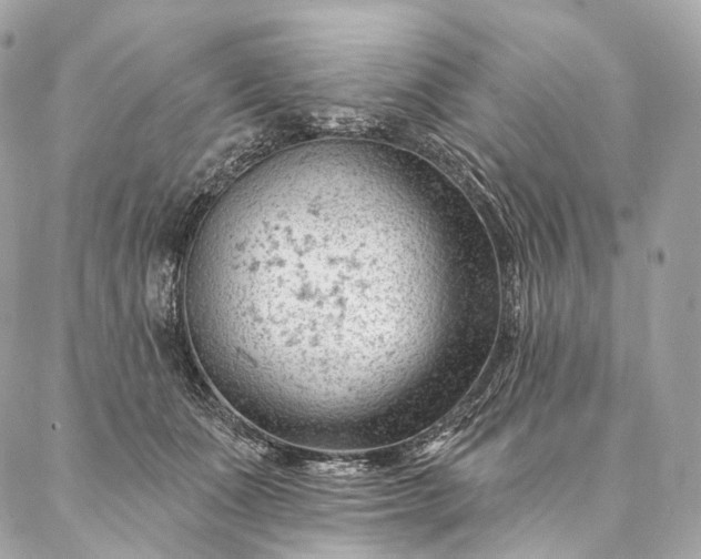 X0000087030511200704301342