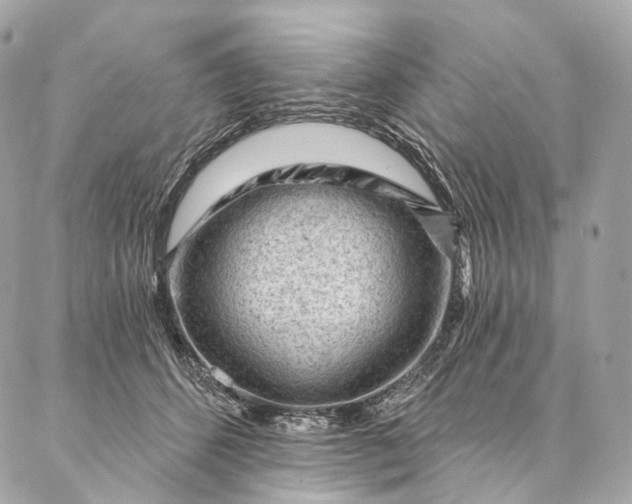 X0000087030512200704301342